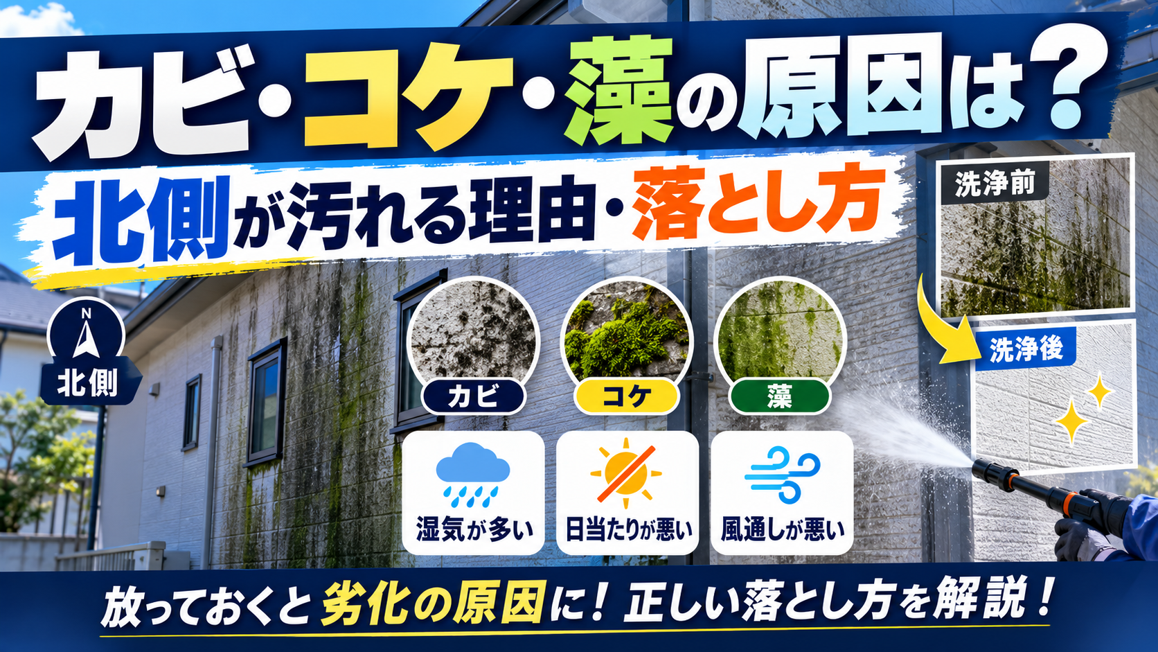外壁のカビ・コケ・藻の原因と落とし方